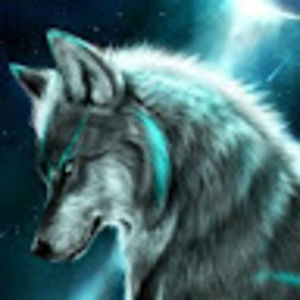 Meet your Posher, Jlope